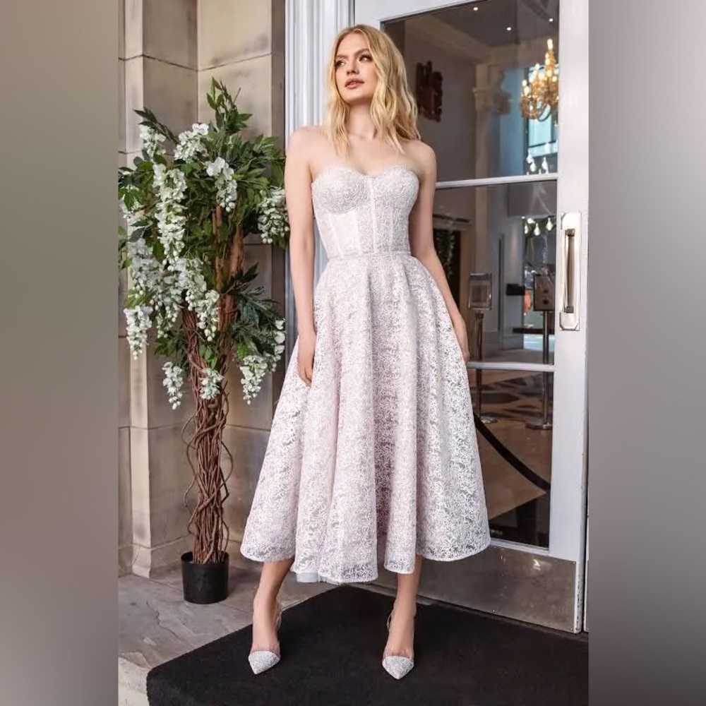 Nadine Merabi Isabella Dress NWOT